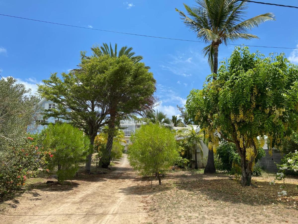 Villa & Bungalow 'Coco Des Sables' Les Pieds Dans L'Eau La Saline Le Bains Esterno foto